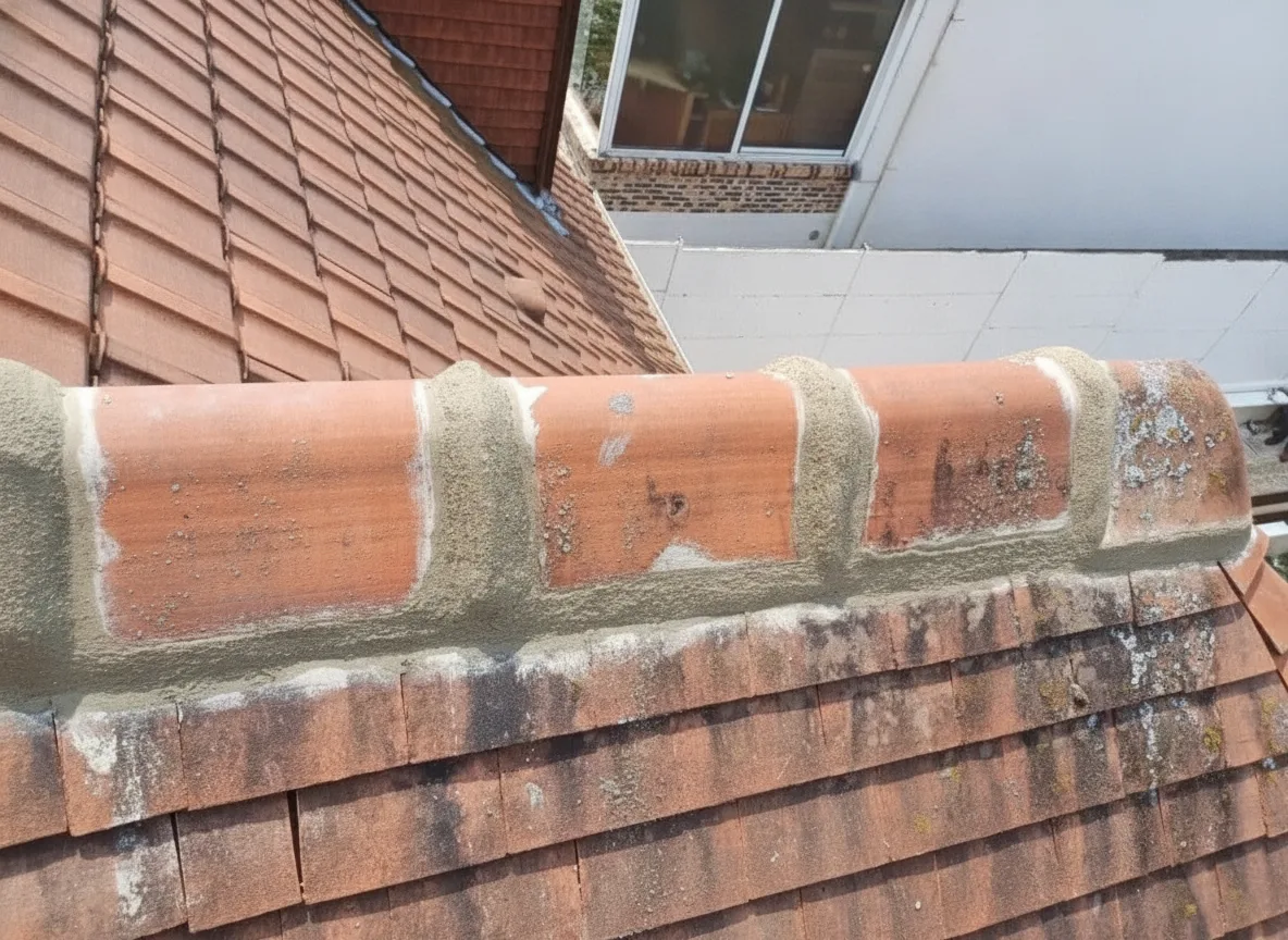 Traitement hydrofuge de toiture à Yvelines